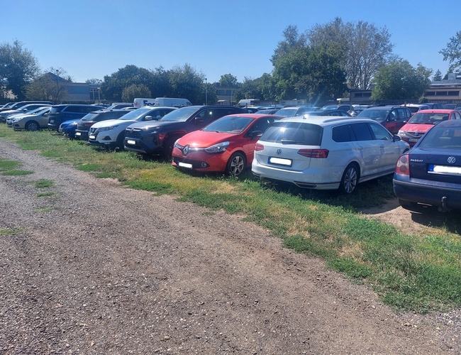 Parking BUDCAR – Na placu stoi dużo samochodów. Teren jest otwarty i ogrodzony. W tle widać drzewa.