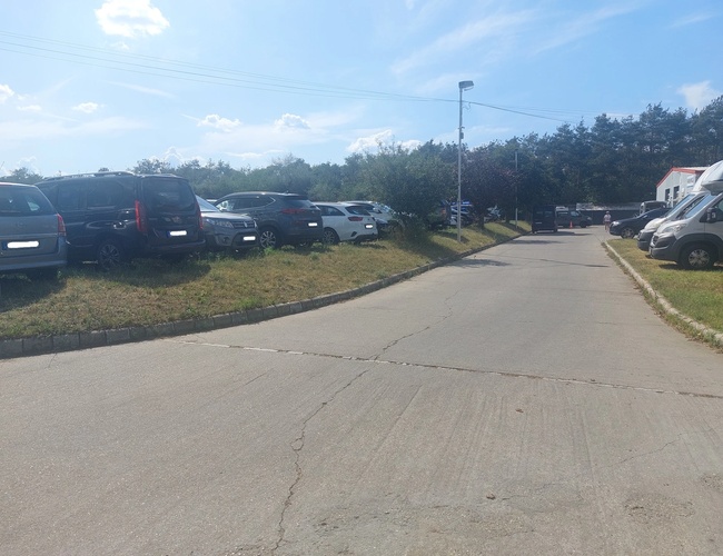 Parking BUDCAR - Liczne auta zaparkowane na przestronnym terenie. Parking jest na zewnątrz, wjazd z asfaltowej drogi. Obok znajdują się drzewa.