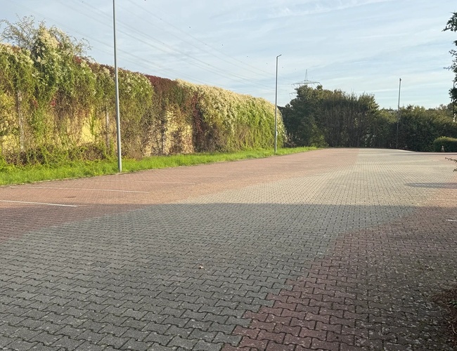 Widok na pusty parking z czerwono-szarymi kostkami brukowymi, otoczony zielonym żywopłotem, perspektywa pokazująca dalszą część placu i słupy oświetleniowe.