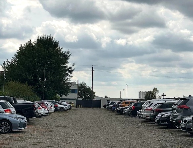 Parking z wieloma zaparkowanymi samochodami w różnych kolorach i modelach. W tle drzewa i brama wjazdowa.