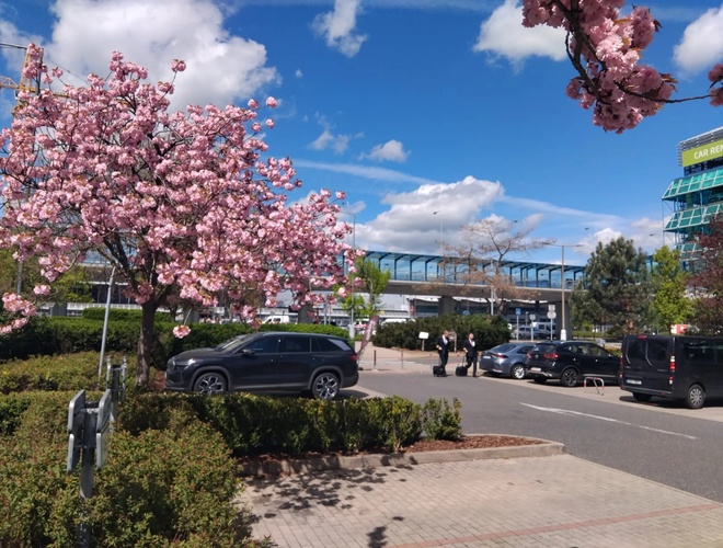 PRG Parkplatz – Auf dem Parkplatz wächst ein blühender Baum. Daneben stehen parkende Autos. Im Hintergrund ist ein gläsernes Gebäude sichtbar.