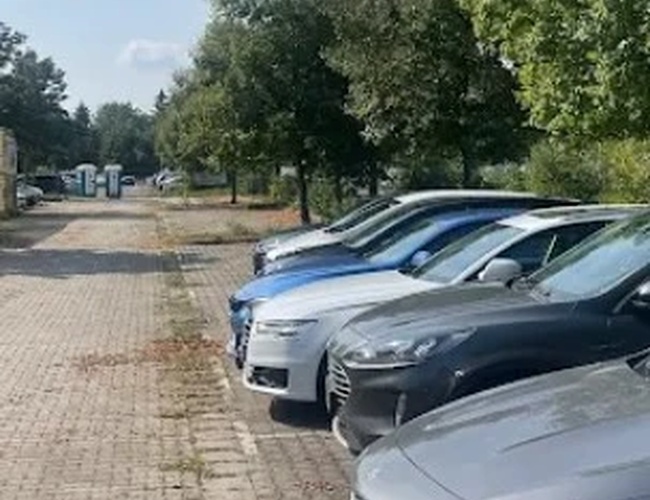 Rząd zaparkowanych samochodów na nieutwardzonej alejce otoczonej drzewami.