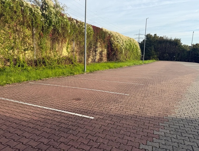 Pusty parking z czerwono-szarymi kostkami brukowymi wyznaczającymi miejsca dla samochodów, otoczony zielonym żywopłotem, przy słonecznym, jasnym dniu.