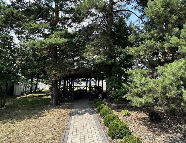 Empieza con nosotros - El camino lleva a una pérgola entre los árboles. Se pueden ver los arbustos verdes al lado del camino. La pérgola es de madera y está sombreada.