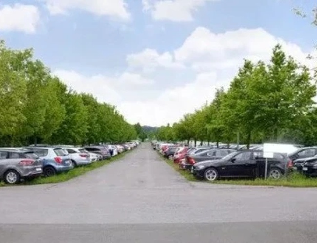Droga przebiegająca pomiędzy rzędami zaparkowanych samochodów na parkingu terenowym. Po obu stronach znajdują się drzewa tworzące zieloną aleję.