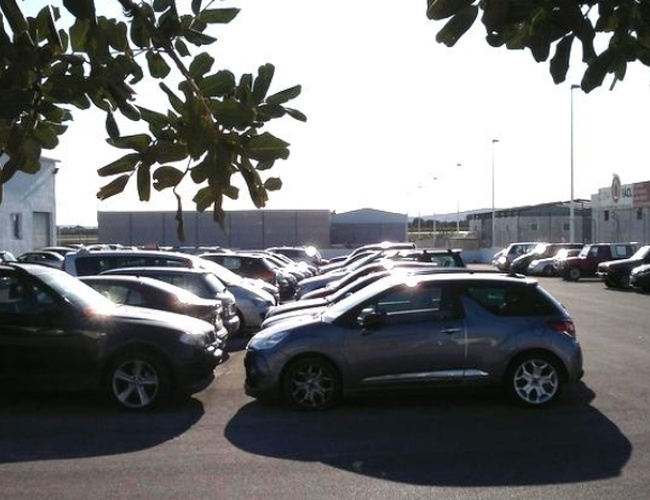 Victoria Parking Alicante – En el aparcamiento hay muchos coches. Al fondo se ven edificios. En primer plano se observan ramas de árboles.