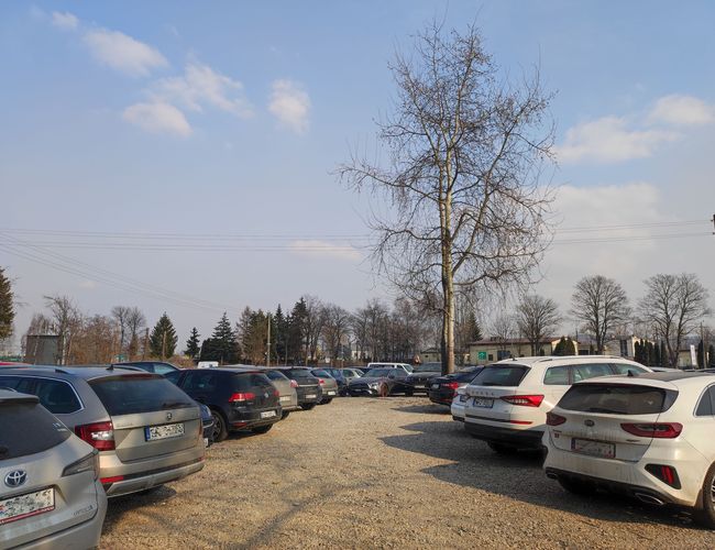 Krk Parking Lotnisko – samochody stoją na żwirowym terenie. Obok rosną drzewa bez liści. Nad parkingiem jest jasne, niebieskie niebo.