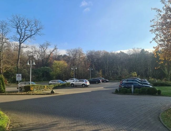 Valet Parking Deluxe - estacionamiento de adoquines. A la izquierda, algunos coches aparcados. Área rodeada de árboles. Las farolas están al lado del camino.