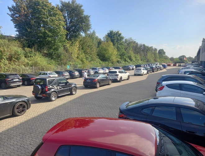 Parking Elite Parken Köln - Na parkingu stoją liczne samochody. Teren wydaje się być duży i otwarty. W tle widoczne są drzewa.