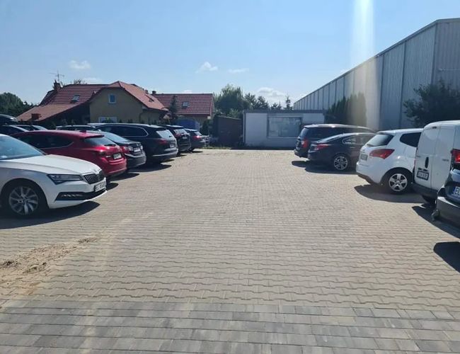 Parking Dominik - na utwardzonym placu stoją zaparkowane samochody. W tle widoczne są budynki i drzewa.