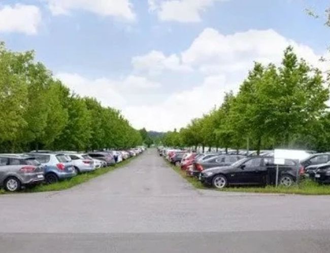 Droga przebiegająca pomiędzy rzędami zaparkowanych samochodów na parkingu terenowym. Po obu stronach znajdują się drzewa tworzące zieloną aleję.