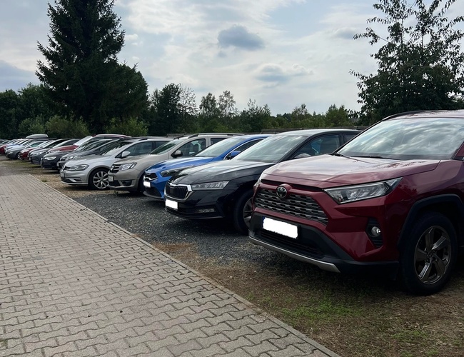 Parking Beta - Los coches están estacionados en dos filas. Se puede ver la acera de adoquines. El área está rodeada de árboles.