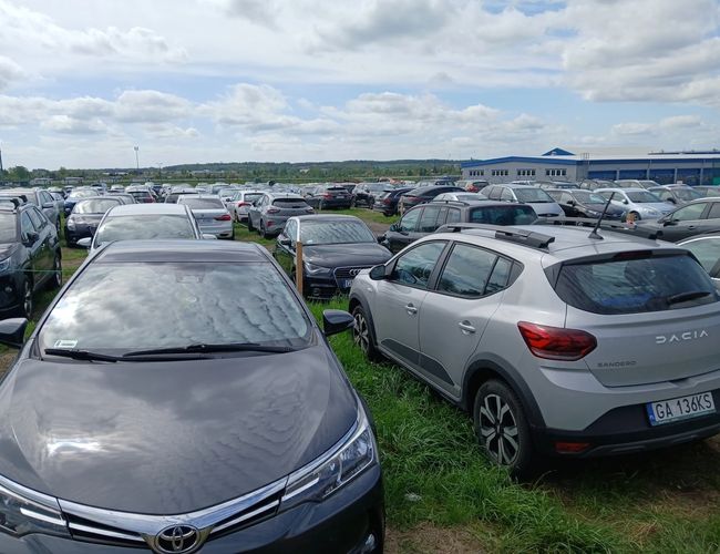 Parking P12 - na trawie stoją samochody osobowe. Parkowanie jest ciasne i nieuporządkowane. W tle widoczne jest duże niebieskie budynek.