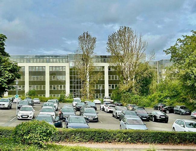 Rzędy samochodów stojące na otwartym placu. W tle widoczne są budynki i drzewa.