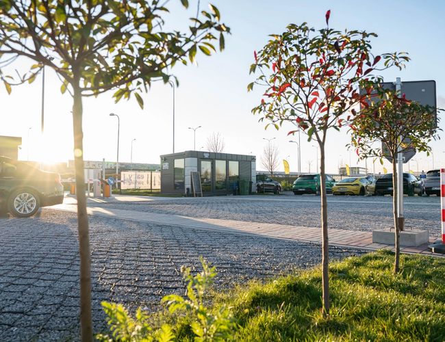 Easy Parking Express - Minivan stoi obok szarego budynku. W tle widać zieleń i latarnię. Parking ma kostkę brukową.