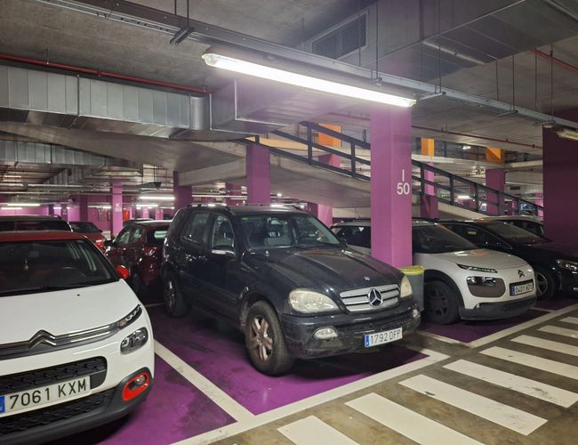 Parking Low Valet - We wnętrzu garażu stoją samochody. Podłoga jest fioletowa. Słupy i ściany mają również fioletowy kolor.