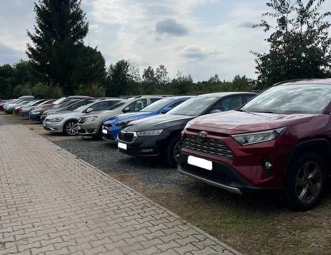Parking Beta - Los coches están estacionados en dos filas. Se puede ver la acera de adoquines. El área está rodeada de árboles.