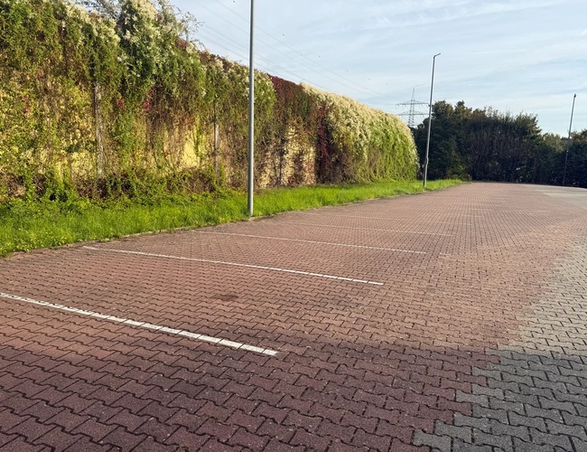 Pusty parking z czerwono-szarymi kostkami brukowymi wyznaczającymi miejsca dla samochodów, otoczony zielonym żywopłotem, przy słonecznym, jasnym dniu.