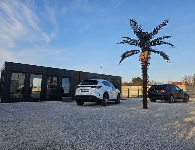 Just Fly Parkplatz - Zwei Autos stehen neben einer Palme. Im Hintergrund befindet sich ein Bürocontainer. Der Parkplatz hat eine Kiesoberfläche.