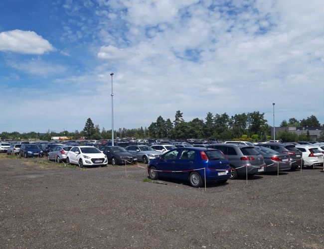 Parking LOT 24 - Teren jest szutrowy i otwarty. Na parkingu stoi wiele samochodów. W oddali widać drzewa.
