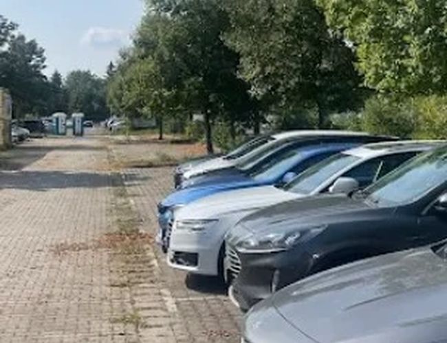 Rząd zaparkowanych samochodów na nieutwardzonej alejce otoczonej drzewami.