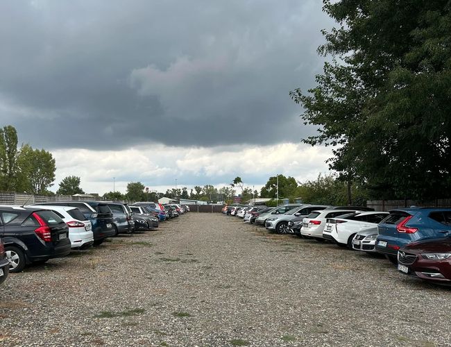 Duży parking z licznymi samochodami, ustawionymi w równych rzędach. Po bokach widoczne drzewa.