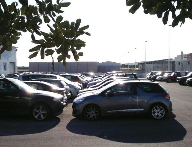 Victoria Parking Alicante – Na parkingu stoi wiele samochodów. W tle widać budynki. Na pierwszym planie widoczne są gałęzie drzew.