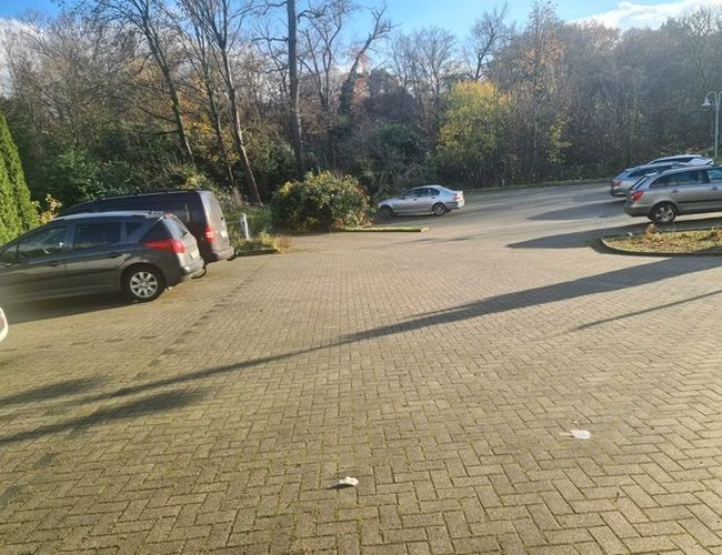 Estacionamiento de lujo con valet - Hay varios coches en el estacionamiento. El área está abierta. Al fondo se ven árboles y arbustos.