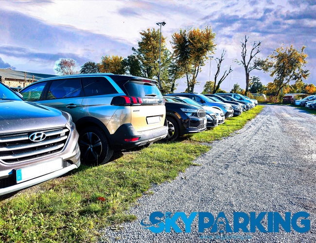 Zbliżony widok na rząd różnych modeli samochodów zaparkowanych na otwartym parkingu; w tle znajdują się drzewa oraz trawiasty teren oświetlony słońcem.