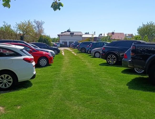 Aparcamiento Park24 - Los coches están en un área verde. El terreno está rodeado de árboles y arbustos. En el fondo se pueden ver edificios.