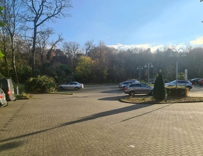 Deluxe Valet Parking – plaza de adoquines, varios coches estacionados. Rodeado de árboles. En el centro, farolas altas.