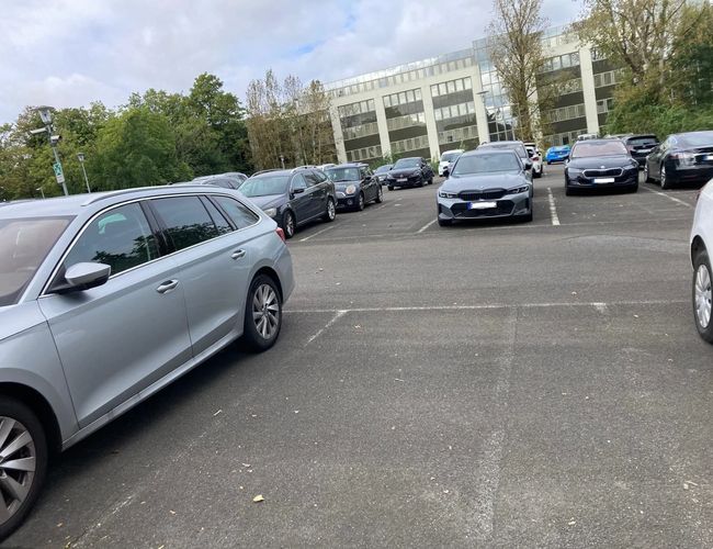Parking Stern Valet - Na parkingu widać równo zaparkowane samochody. W tle znajduje się nowoczesny budynek. Otaczają go drzewa i latarnie.
